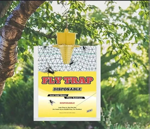 Buy Fly Trap Disposable price online in Qatar