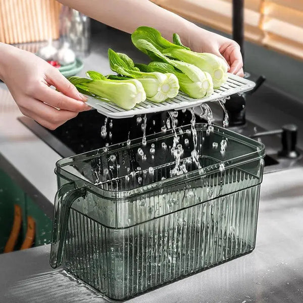 2 pcs Food Storage Boxes - Freezer Storage With Adjustable Timer Boxes with Lids - Scrollcart Qatar