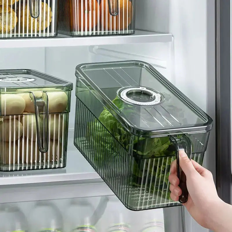 2 pcs Food Storage Boxes - Freezer Storage With Adjustable Timer Boxes with Lids - Scrollcart Qatar