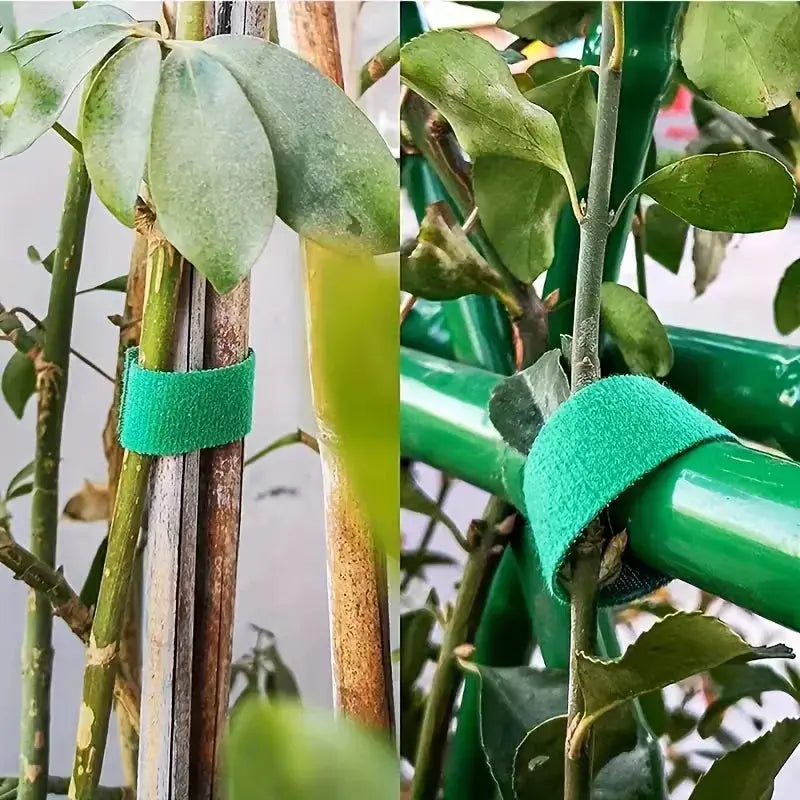 3-Pack Premium Green Nylon Plant Bandage Ties Doha Qatar