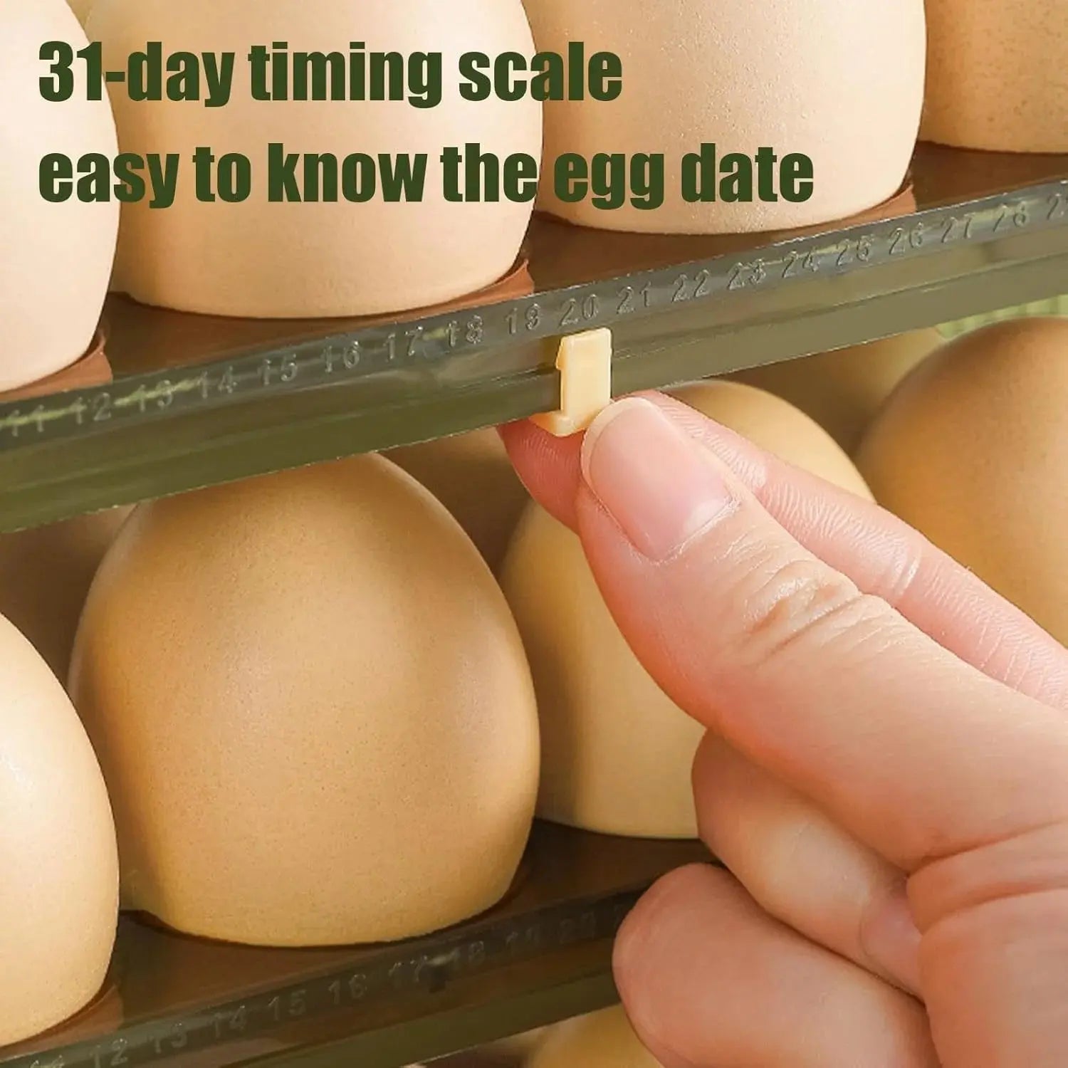 3-Tier Egg Holder for Refrigerator Price Online in Qatar