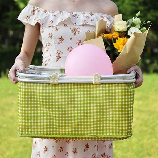 30L Insulated Green Picnic Basket +Green Mat Scrollcart Online Shopping Store