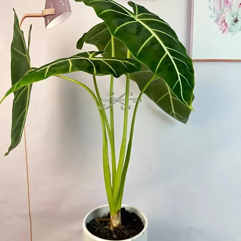 Anti-Toppling Support Pole – Green Plant Fixator for Flowers, Hydroponic, and Potted Plants Scrollcart Qatar