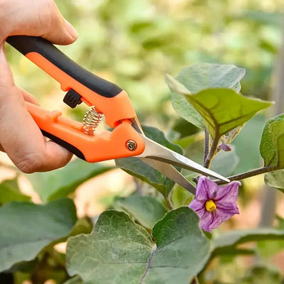 Stainless Steel Garden Pruning Shears Scrollcart Qatar