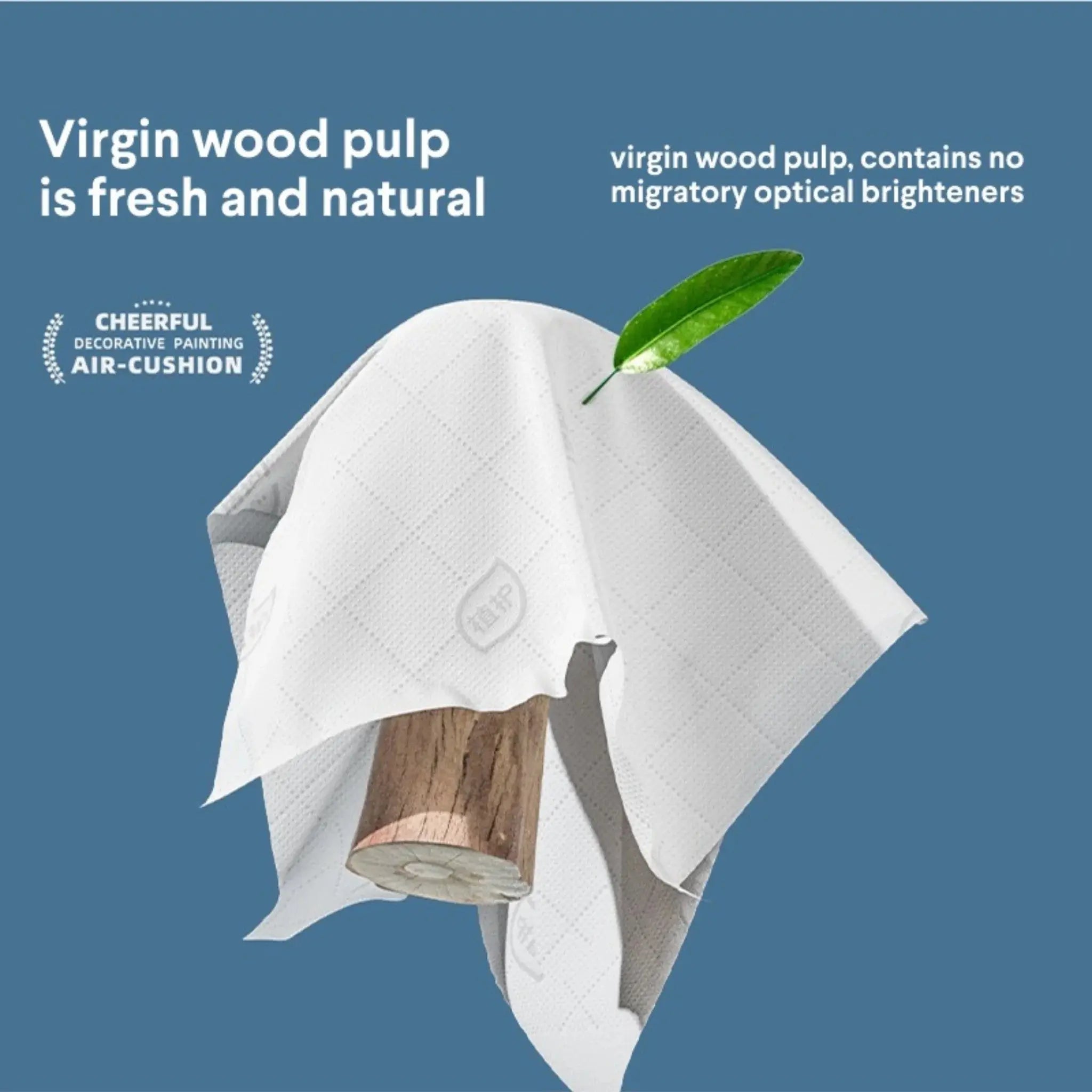 Buy Premium 4-Ply Tissue 6-Pack + Hook Price Qatar