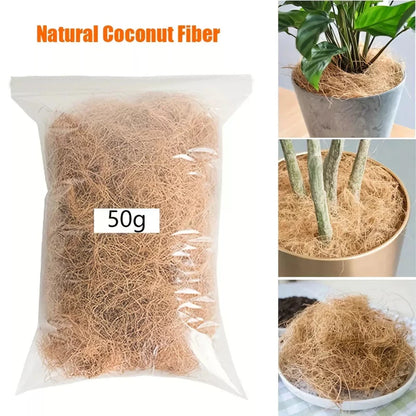 Coconut Husk Fiber Coir - 50 g