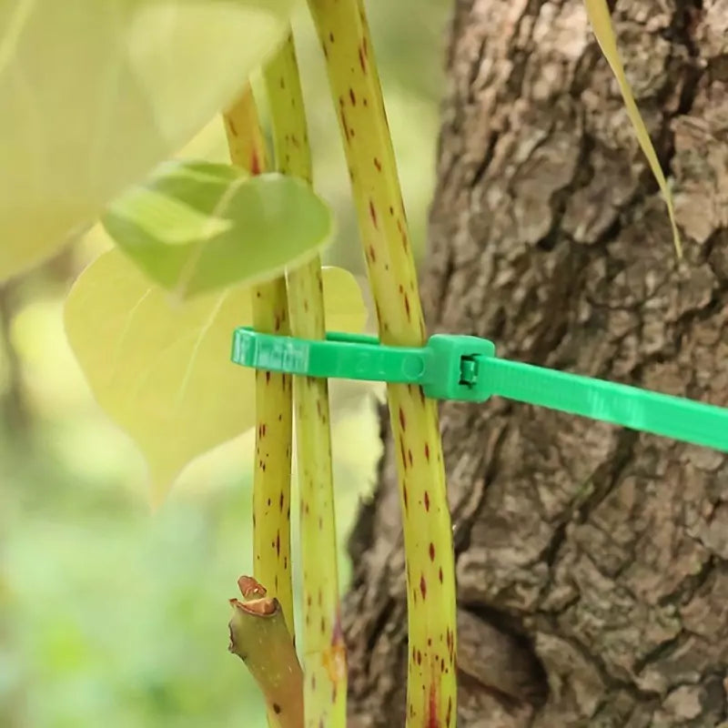 Gardening Zip Ties  - tied plant