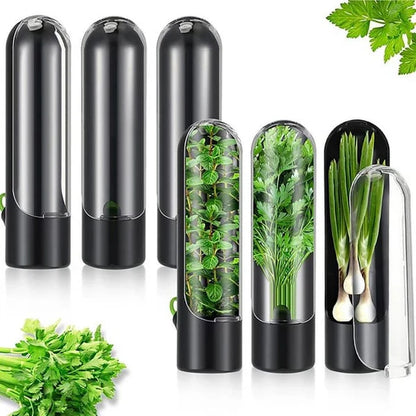 Buy Herb Saving Pod for Refrigerator | leaf container Qatar