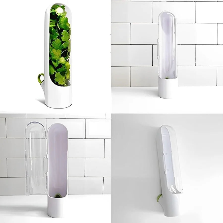 Buy Herb Saving Pod for Refrigerator | leaf container Qatar