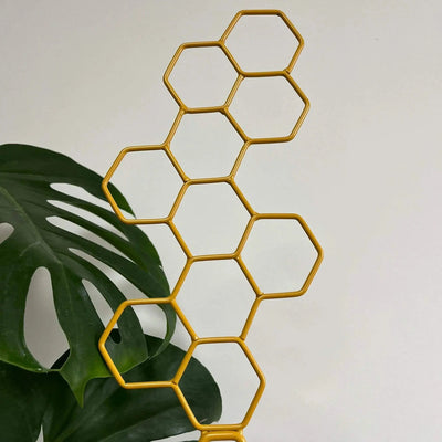 Honeycomb Golden and Black Plant Trellis for Indoor Plants