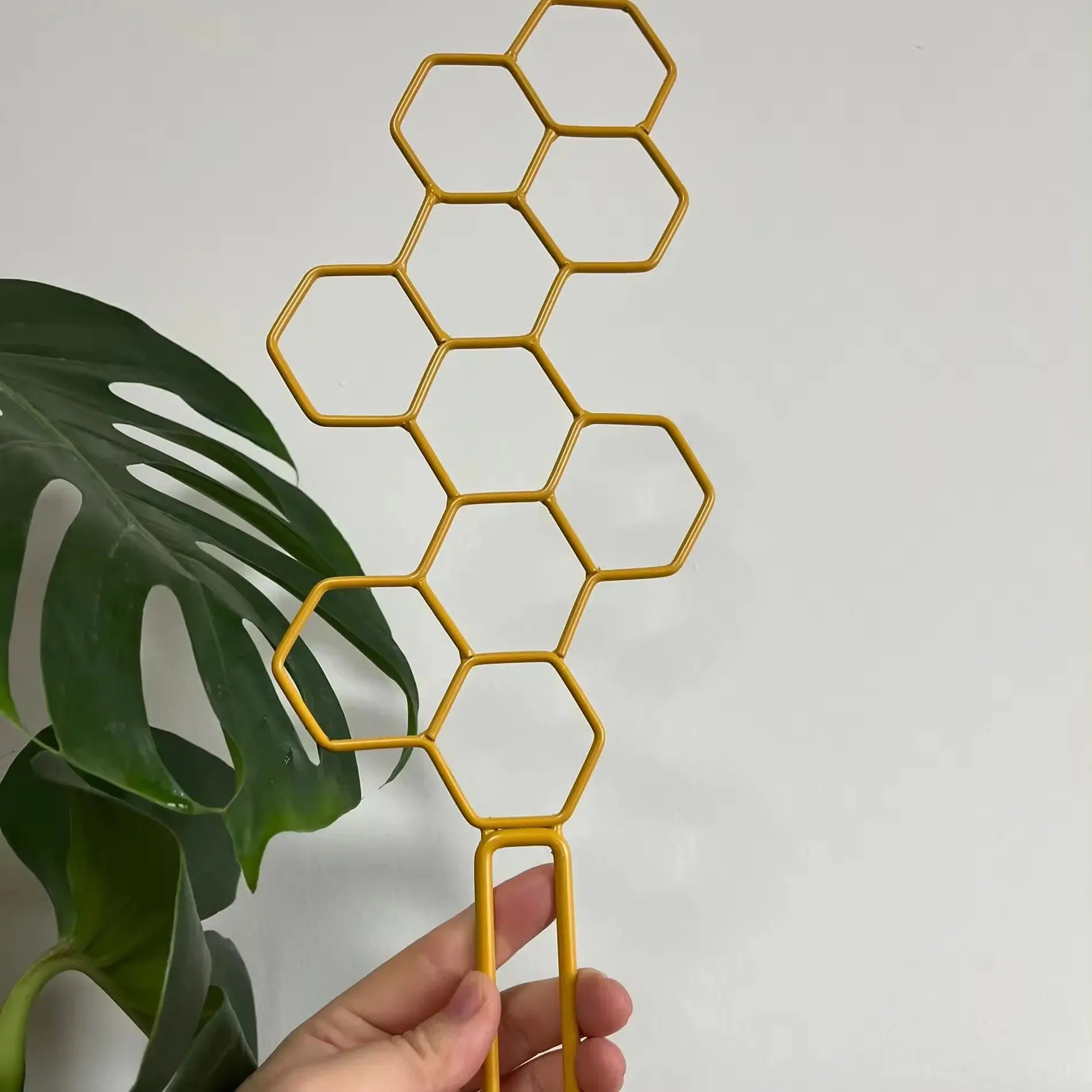 Honeycomb Golden and Black Plant Trellis for Indoor Plants