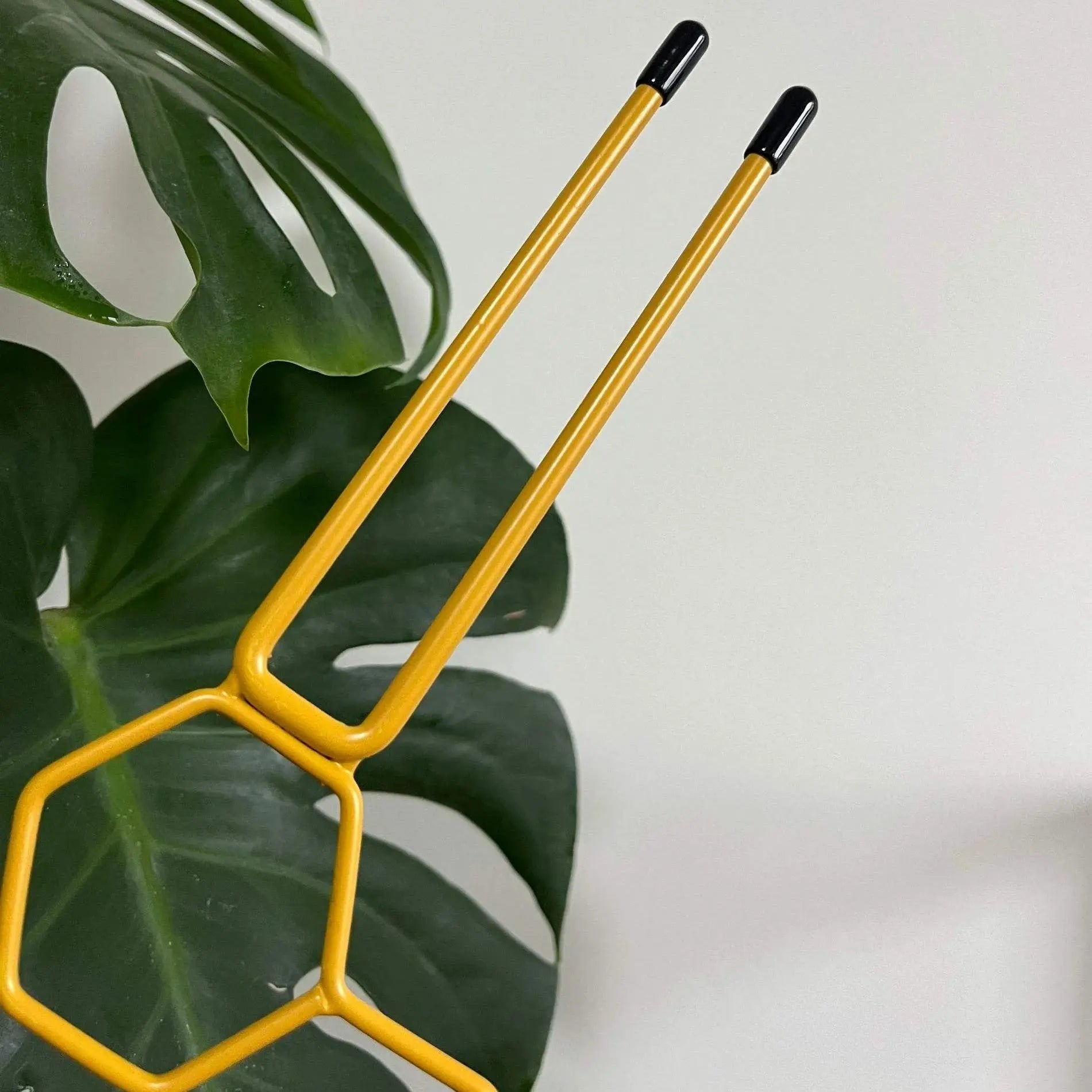 Honeycomb Golden and Black Plant Trellis for Indoor Plants