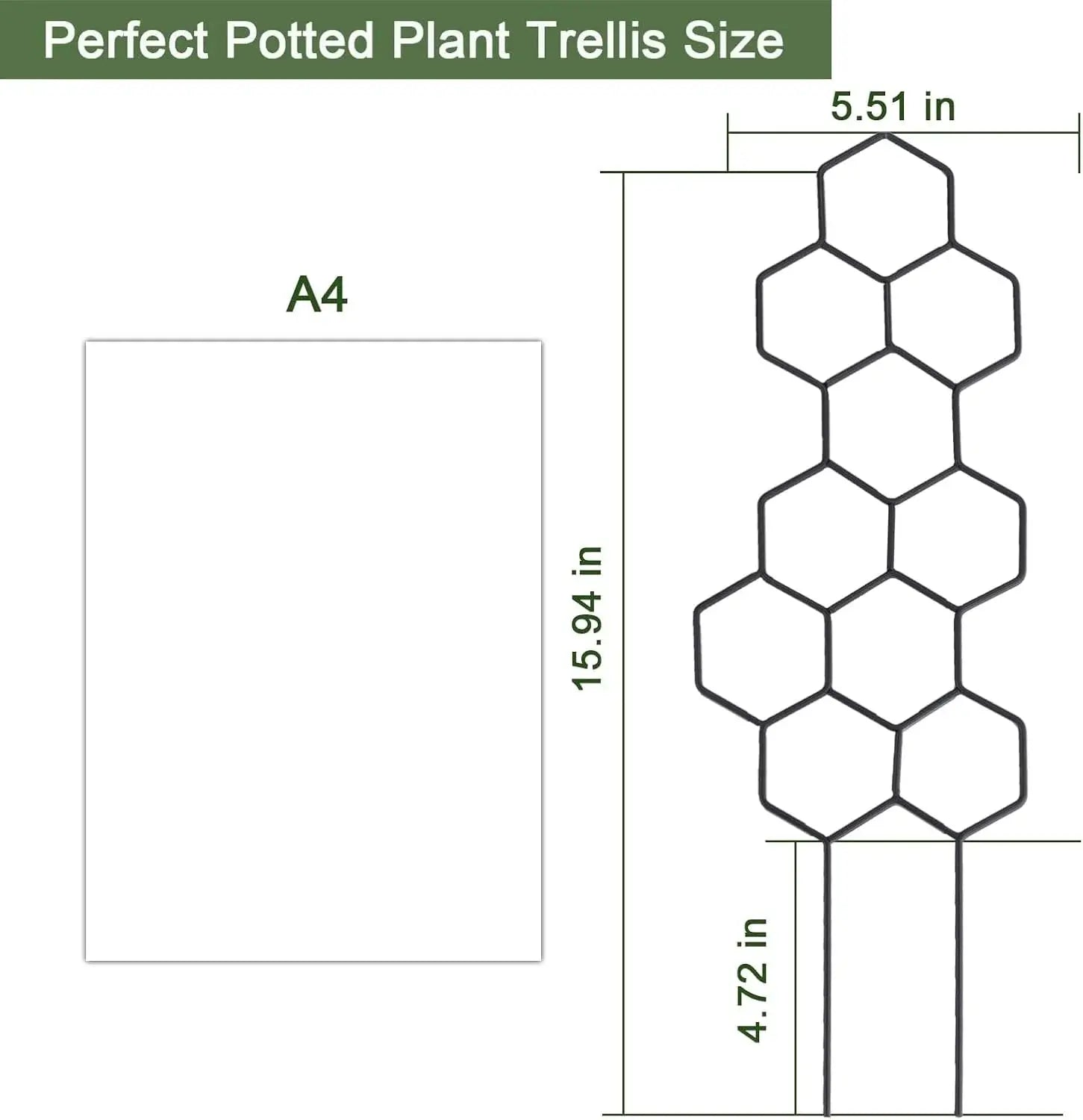 Honeycomb Golden and Black Plant Trellis for Indoor Plants
