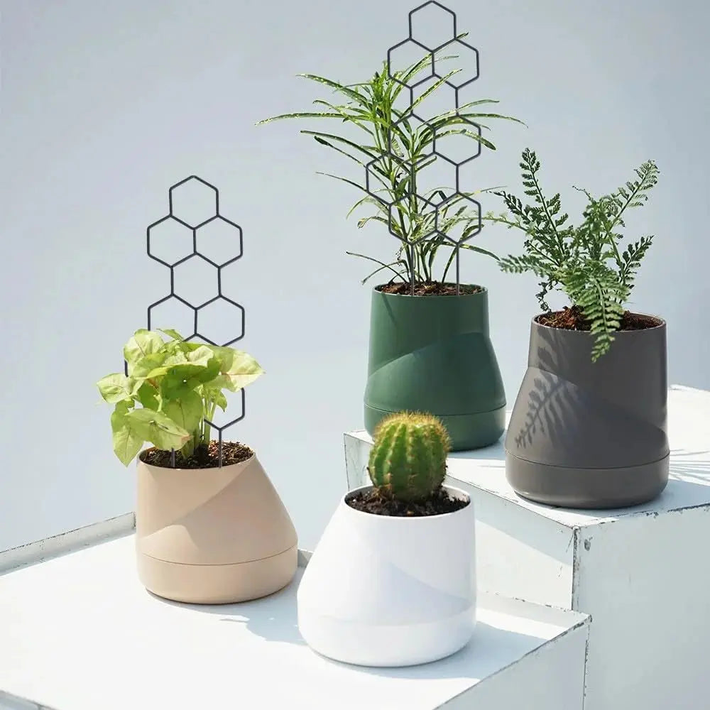 Honeycomb Golden and Black Plant Trellis for Indoor Plants