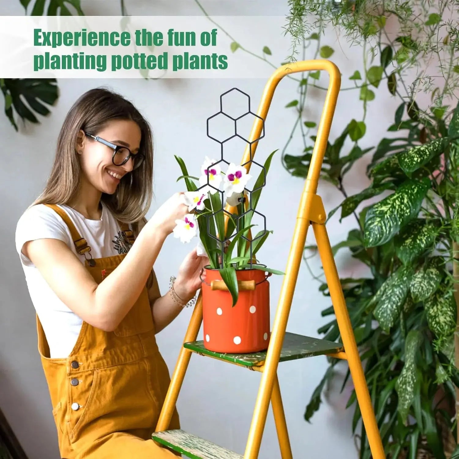 Honeycomb Golden and Black Plant Trellis for Indoor Plants
