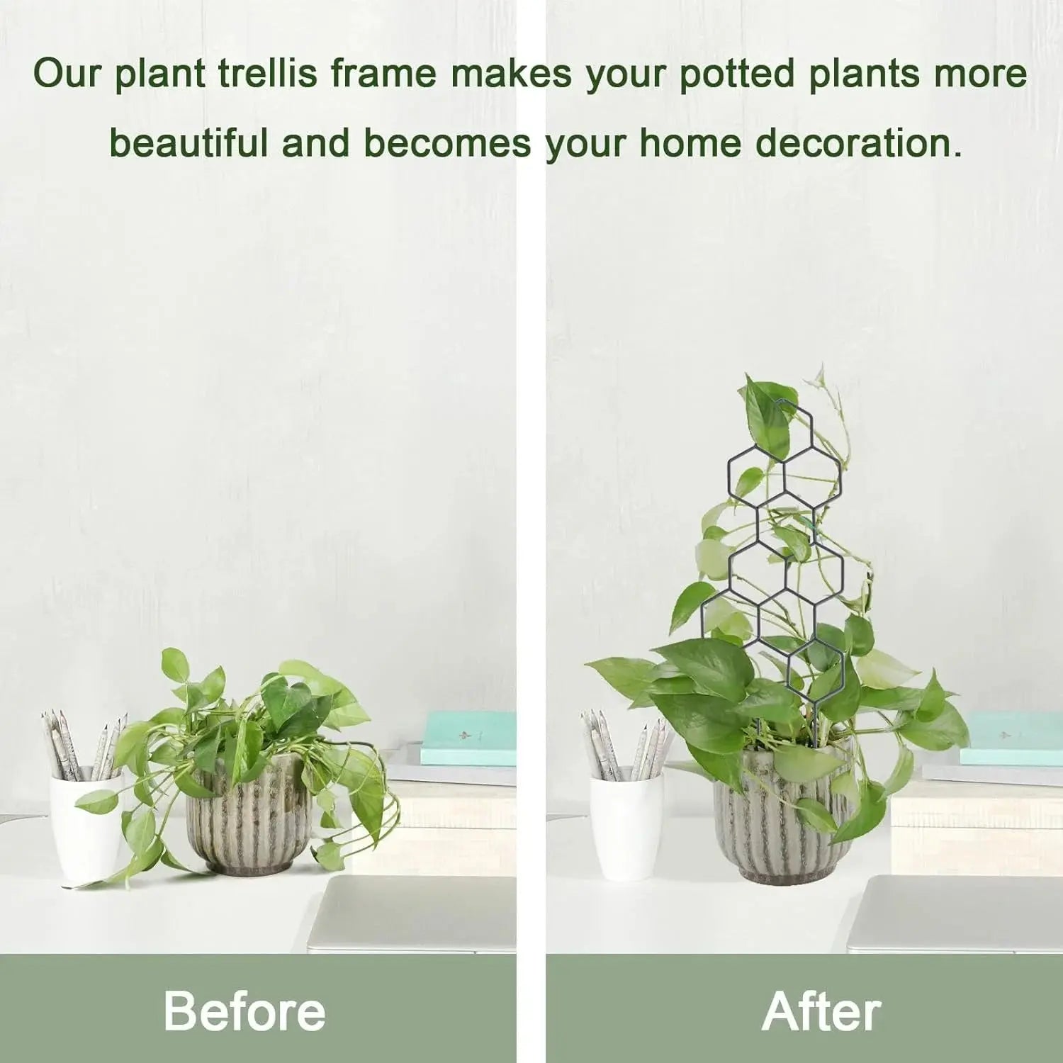 Honeycomb Golden and Black Plant Trellis for Indoor Plants