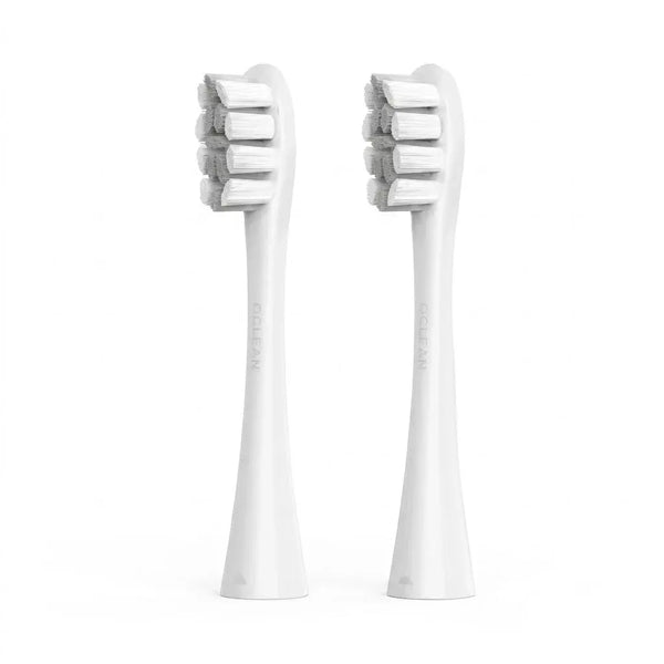 Oclean P1C10 Professional Clean Brush Head Grey 2-Pack Qatar