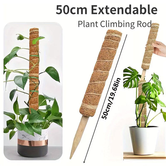 Plant Climbing Support - Rod length