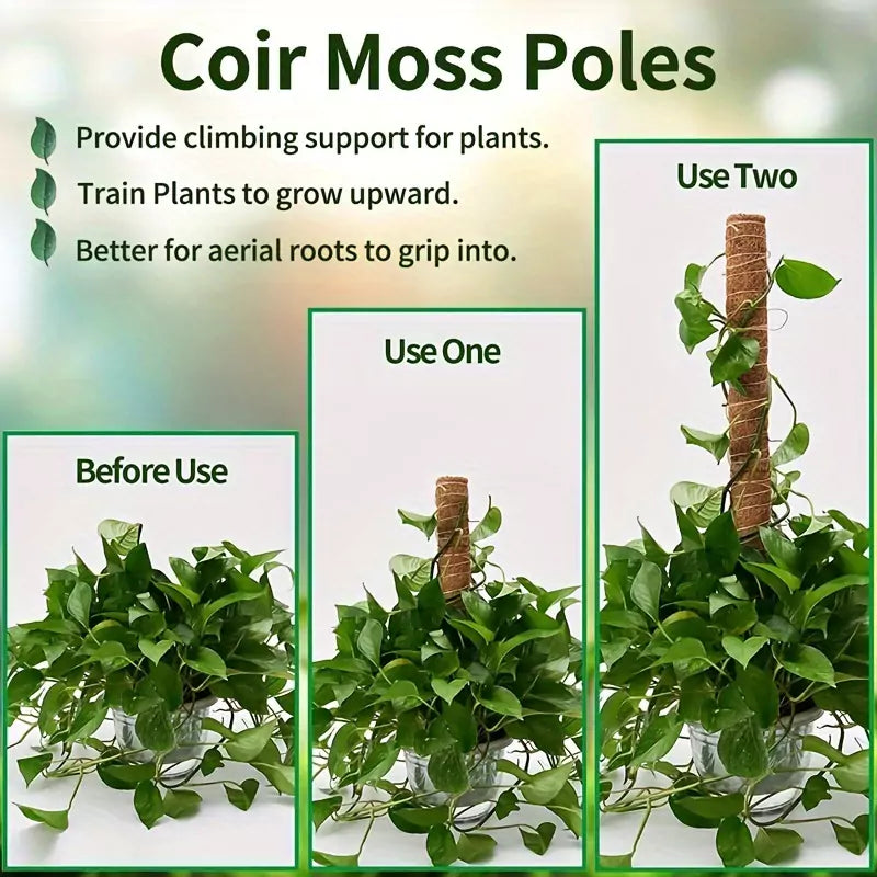 Plant Climbing Support - usage steps