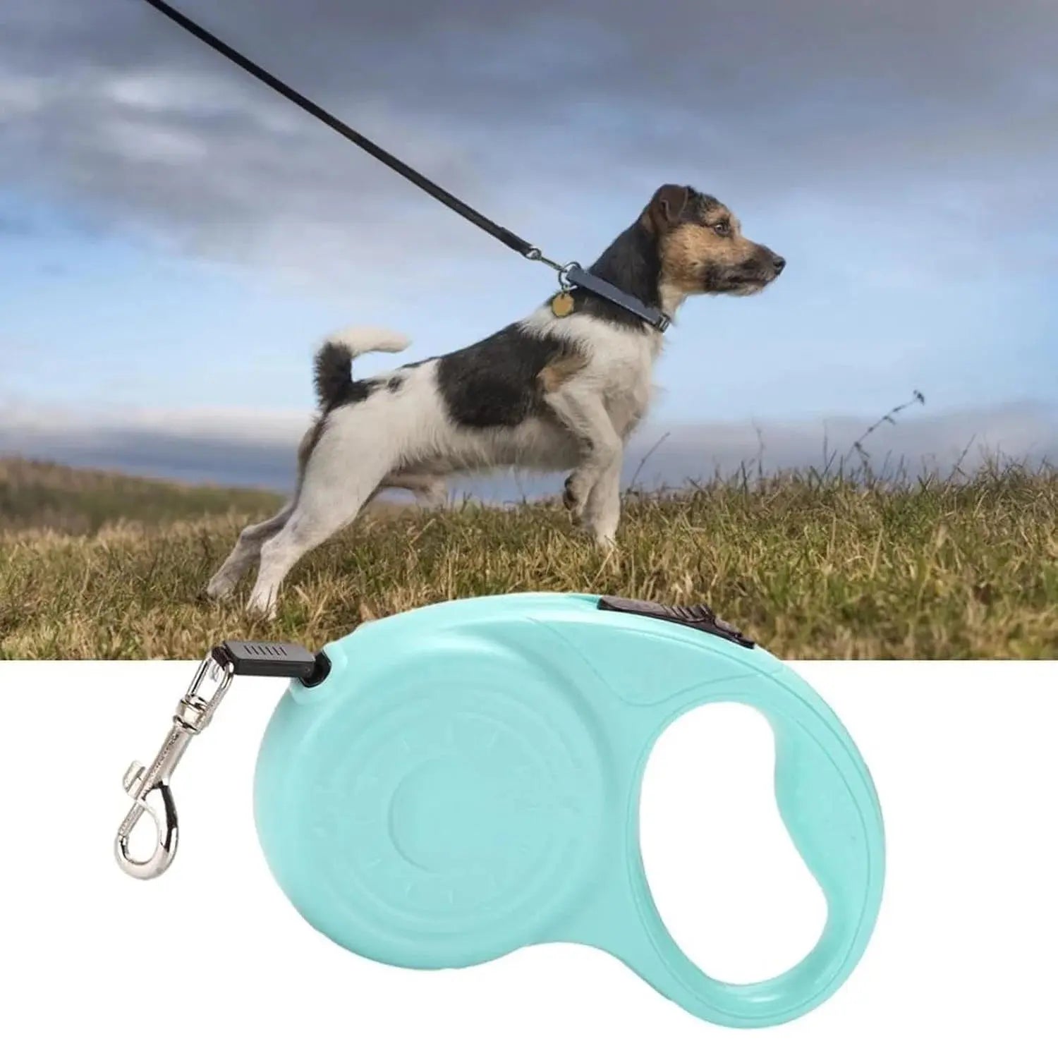 Retractable Dog Leash with Lock System-5M Price Doha Qatar