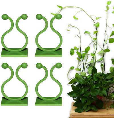 Self-Adhesive Plant Climbing Wall Vine Support Clips Qatar