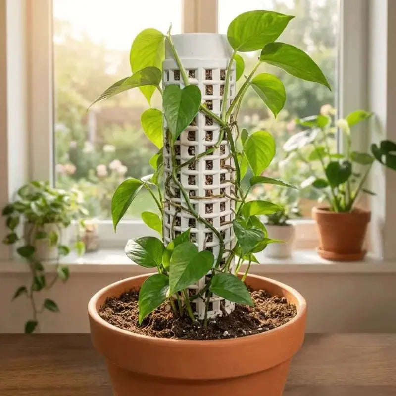 Stackable Plastic Moss Pole for Climbing Plants Doha Qatar