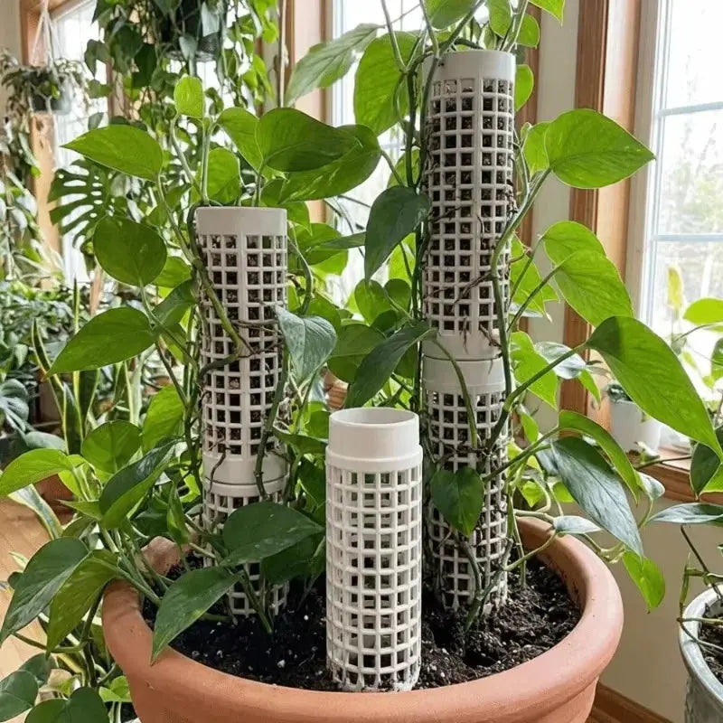 Stackable Plastic Moss Pole for Climbing Plants Doha Qatar