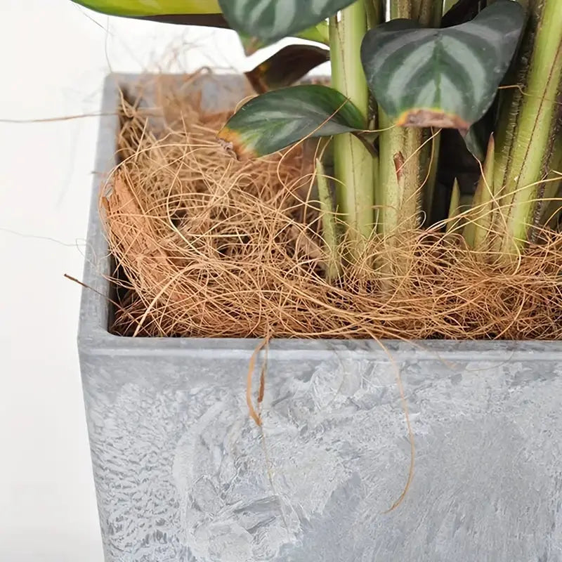 Coco Coconut Coir Husk Fiber – Natural Mulch for Orchids, Pet Bedding & Aquarium Decor Scrollcart Qatar