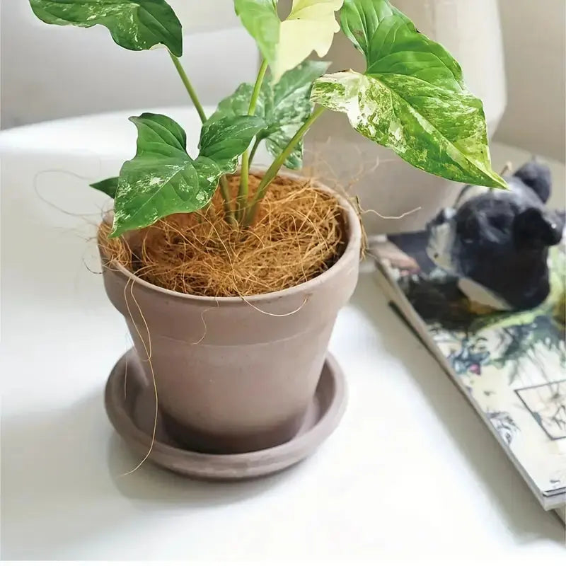 Coco Coconut Coir Husk Fiber – Natural Mulch for Orchids, Pet Bedding & Aquarium Decor Scrollcart Qatar