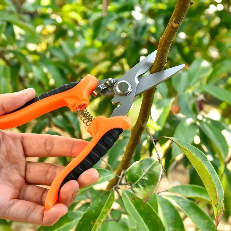 Stainless Steel Garden Pruning Shears Scrollcart Qatar