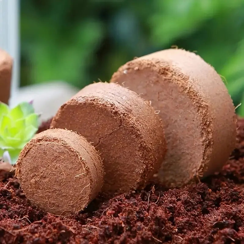Coconut Fiber Seedling Cubes Scrollcart Qatar