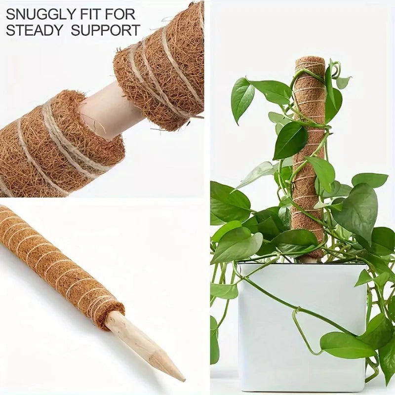 plant climbing coconut husk stick